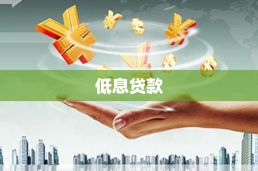 永善低息贷款