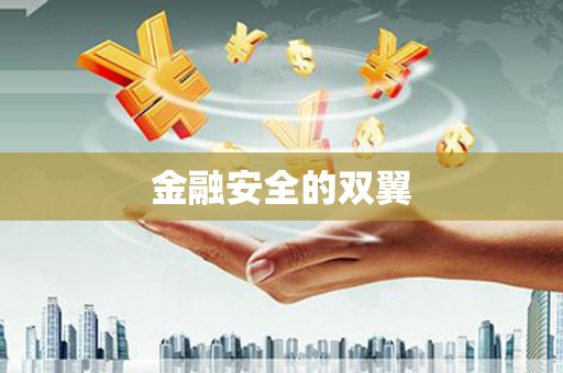 永善金融安全的双翼
