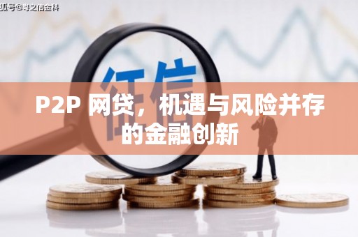 永善P2P 网贷，机遇与风险并存的金融创新