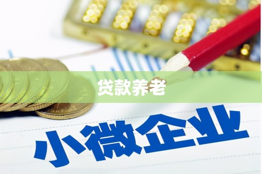 永善贷款养老