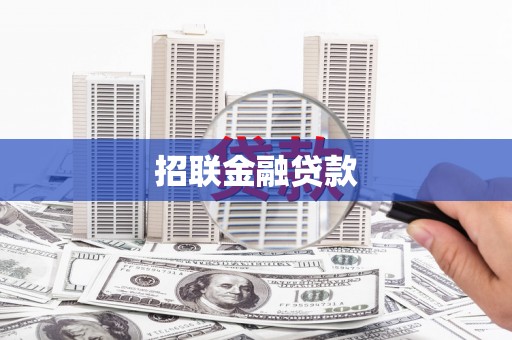 永善招联金融贷款