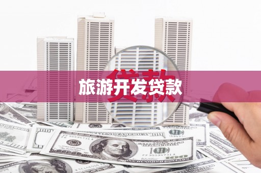 永善旅游开发贷款