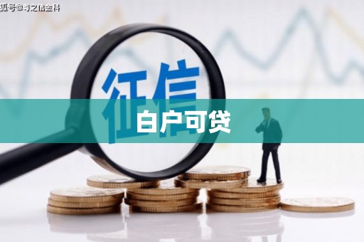 永善白户可贷