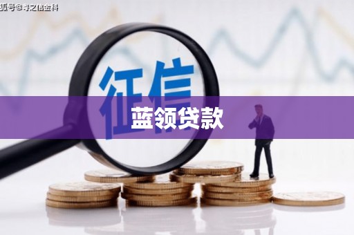永善蓝领贷款