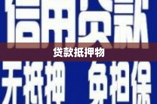永善贷款抵押物