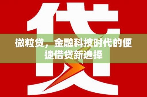 永善微粒贷，金融科技时代的便捷借贷新选择