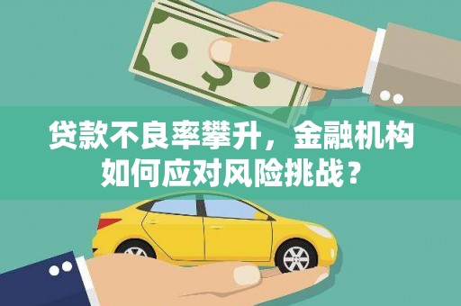 永善贷款不良率攀升，金融机构如何应对风险挑战？