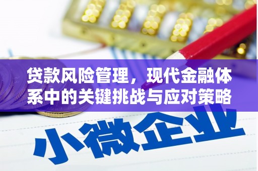 永善贷款风险管理，现代金融体系中的关键挑战与应对策略