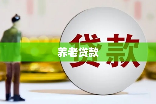永善养老贷款