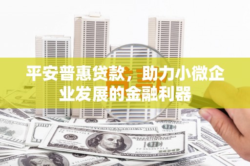 永善平安普惠贷款，助力小微企业发展的金融利器
