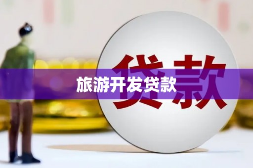 永善旅游开发贷款