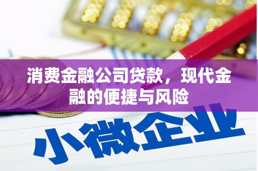 永善消费金融公司贷款，现代金融的便捷与风险