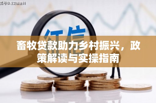永善畜牧贷款助力乡村振兴，政策解读与实操指南