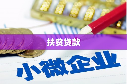 永善扶贫贷款