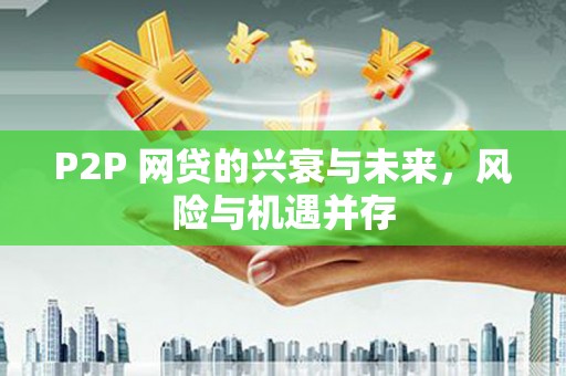 永善P2P 网贷的兴衰与未来，风险与机遇并存