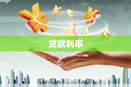 永善贷款利率