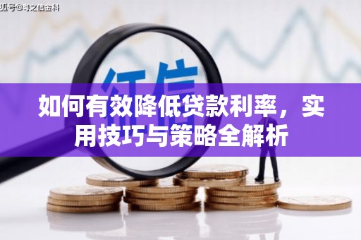 永善如何有效降低贷款利率，实用技巧与策略全解析