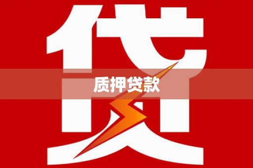 永善质押贷款