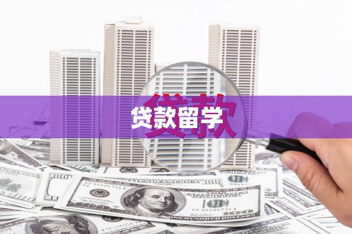 永善贷款留学