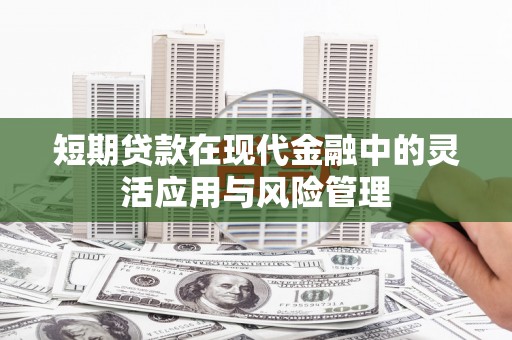 永善短期贷款在现代金融中的灵活应用与风险管理