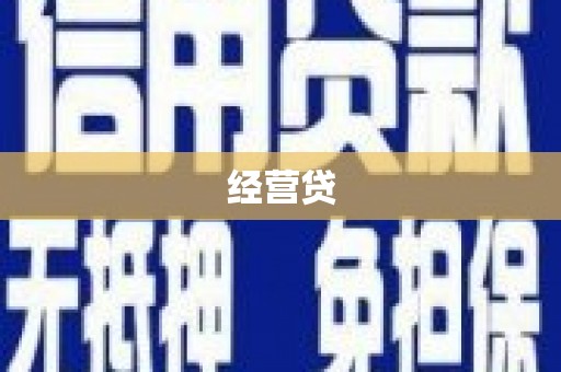 永善经营贷