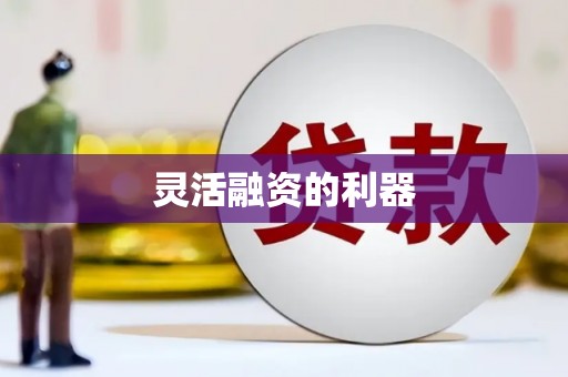 永善灵活融资的利器