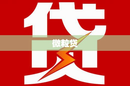 永善微粒贷