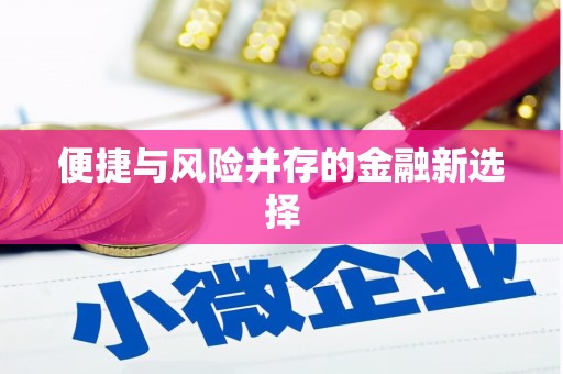 永善便捷与风险并存的金融新选择