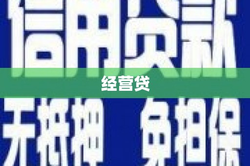 永善经营贷