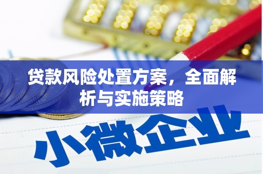 永善贷款风险处置方案，全面解析与实施策略