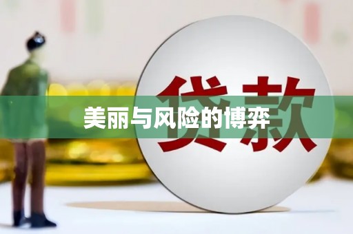 永善美丽与风险的博弈