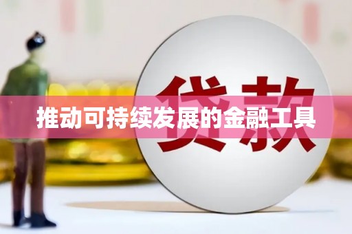 永善推动可持续发展的金融工具