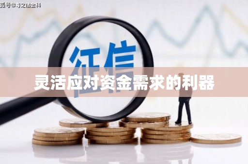 永善灵活应对资金需求的利器