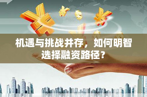 永善机遇与挑战并存，如何明智选择融资路径？