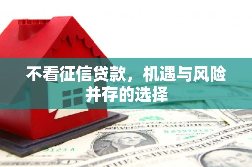 永善不看征信贷款，机遇与风险并存的选择