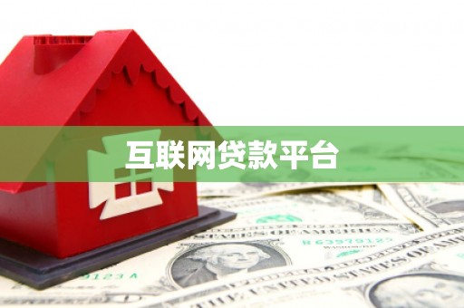 永善互联网贷款平台