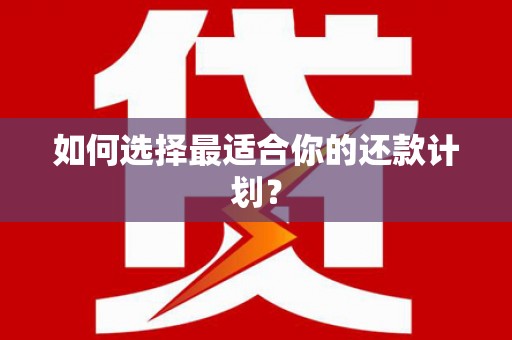 永善如何选择最适合你的还款计划？