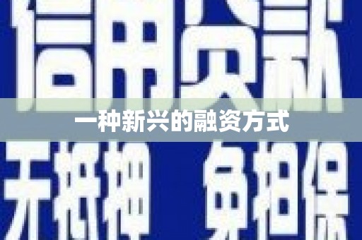 永善一种新兴的融资方式