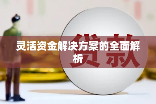 永善灵活资金解决方案的全面解析