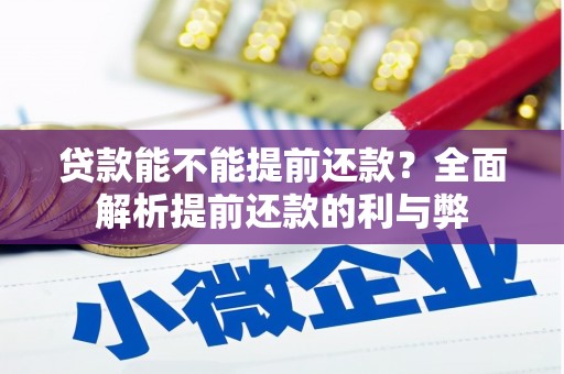永善贷款能不能提前还款？全面解析提前还款的利与弊