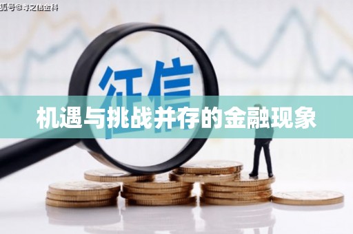 永善机遇与挑战并存的金融现象
