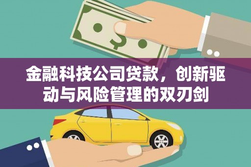 永善金融科技公司贷款，创新驱动与风险管理的双刃剑