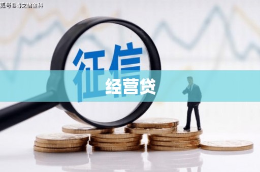 永善经营贷